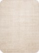 Anterior