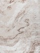 Anterior