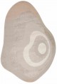 Anterior