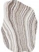 Anterior