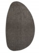 Anterior