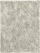 Anterior