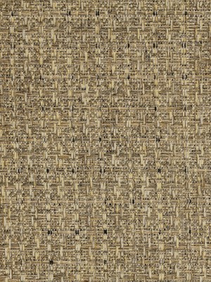 new_boucle_7679_sergipe_zoom_36.jpg